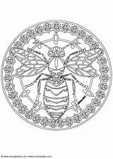 Coloring Mandala Wasp Pages Large sketch template