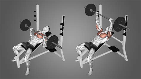 incline bench press  flat bench press differences explained inspire