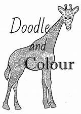 Etsy Giraffe Adult Colouring Doodle Coloring Drawing Instant Pages sketch template
