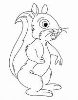 Coloring Squirrel Pages Preschool Tailed Bushy Squirrels Color Popular Getdrawings Library Clipart Coloringhome sketch template