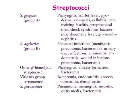 Gram Positive Cocci In Pairs And Clusters Cloudshareinfo