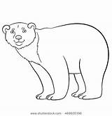 Endangered Species Coloring Pages Getcolorings sketch template