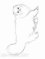 Coloring Persian Cat Pages Book Breed Cats Printable Printables sketch template