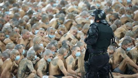 Shocking Images Show El Salvador Prisoners Crammed Together In Lockdown