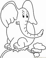 Horton Coloring Elefant Baum Elefanten Ausmalbild Sitzt Ausmalen Ausdrucken Coloringpages101 Acessar sketch template