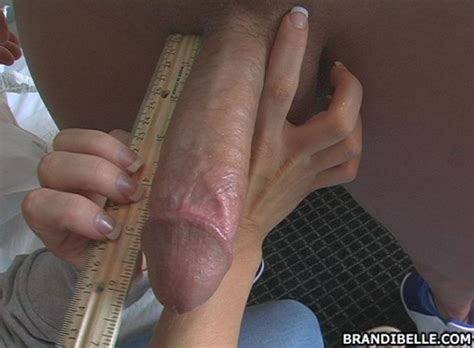 brandi belle stroking and measuring a hard schlong pichunter