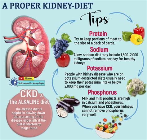 kidney dialysis   diet