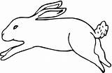 Rabbit Coloring Jack Hare Running Pages Drawing Color Printable Line Clipart Drawings Cartoon Print 23kb 458px sketch template