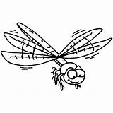 Dragonfly Coloring Pages Printable Wings Drawing Results Getdrawings sketch template