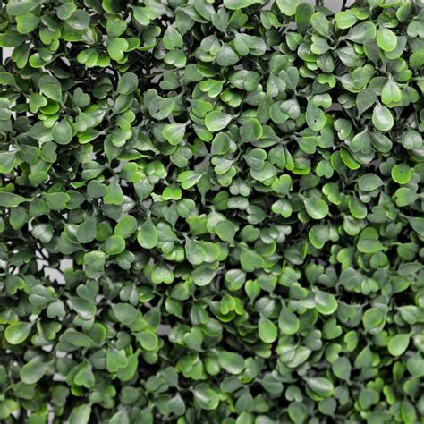 artificial ivy easygrass artificial ivy living wall  green