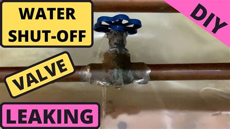Water Shut Off Valve Leaking Badly How To Fix Diy Youtube