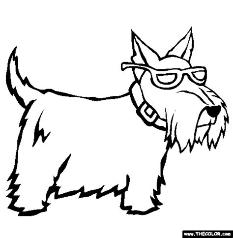 colouring page  angus lost dog coloring page puppy