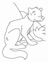 Coloring Mongoose Rikki Tavi Tikki Pages Tailed Getdrawings Drawing Results Template sketch template