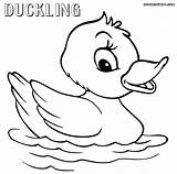 Duck Coloring Pages Pond Print Colorings Coloringway sketch template