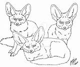 Fennec Foxes Pre05 Lineart Simensis sketch template