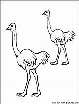Emu Drawing Getdrawings sketch template