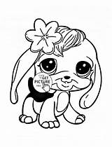 Coloring Pages Pet Shop Littlest Animal Panda Beanie Boo Cuties Dog Color Animals Kids Printable Sheets Print Wuppsy Only Zoo sketch template
