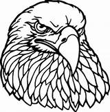 Outline Carving Eagles Pyrography Decal Inkace sketch template