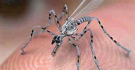 government developing insect spy drones truth truth  fiction