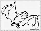 Coloring Bat Animals Nocturnal Clipart Batcave Cliparts Vampire Sheet Library Cave Clip Pages Comments sketch template