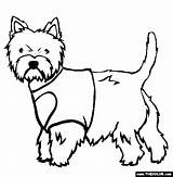 Coloring Terrier West Highland Westie Pages Dogs Online Dog Drawing Designlooter Thecolor 99kb 565px Drawings Getdrawings sketch template