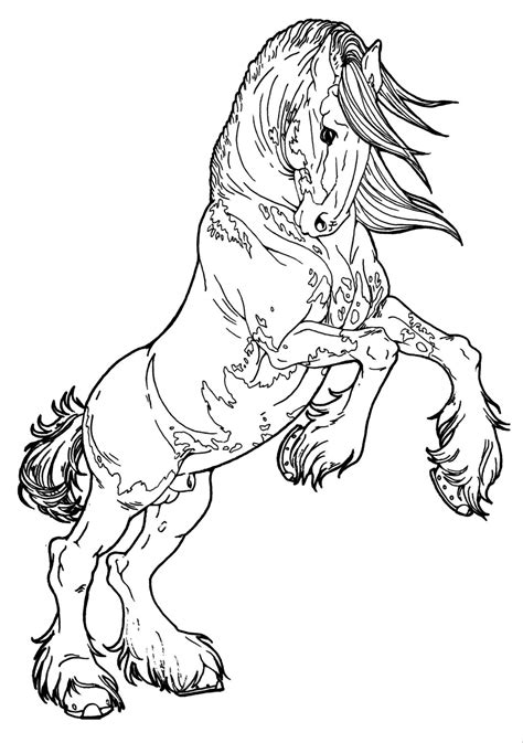 friesian horse coloring book  print