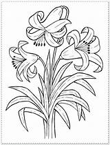 Coloring Flower Pages Detailed Color Spring Printable Getcolorings Print sketch template