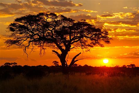 african sunset african sunrise sunset