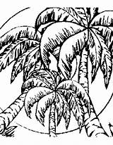 Bahamas Coloring Pages Designlooter 94kb 388px Getdrawings Getcolorings Palm Tree sketch template