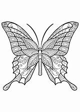 Schmetterling Papillon Coloriage Butterflies Erwachsene Schmetterlinge Adultos Insectos Adulti Insetti Mariposas Malvorlagen Insects Motifs Papillons Mandalas Insekten Waldtiere Insectes Malvorlage sketch template