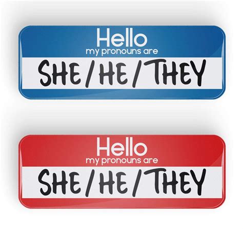 hello my pronouns are she he they pronoun pin badge button
