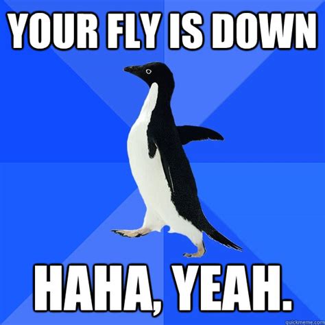 Socially Awkward Penguin Memes Quickmeme