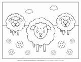Lambs Planerium sketch template