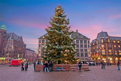 christmas tree   dam square winter festival amsterdam