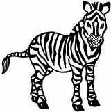 Zebra Coloring Pages Kids Printable Animal sketch template