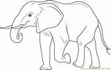 Elephant Coloring Walking Pages Away Coloringpages101 sketch template