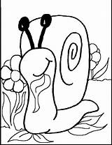 Snail Coloring Pages Color Animal Print Back sketch template