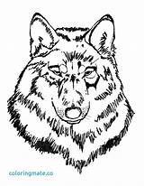 Wolf Coloring Head Pages Wolves Fighting Getdrawings Color Getcolorings Drawing Printable sketch template