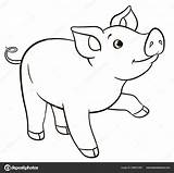 Maiale Pig Smiles Sorrisi Erge Carino sketch template