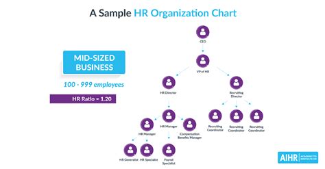 human resource organizational chart  hr organizational chart porn sex picture