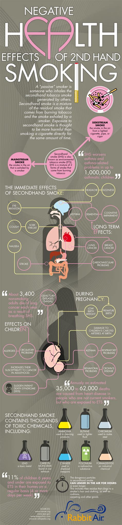 Secondhand Smoke Facts And Statistics Infographic Rabbit Air