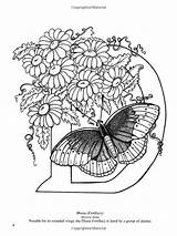 Butterfly Coloring Alphabet Adult Pages Coloriage Fées Embroidery Dover Letters Choose Board Books sketch template