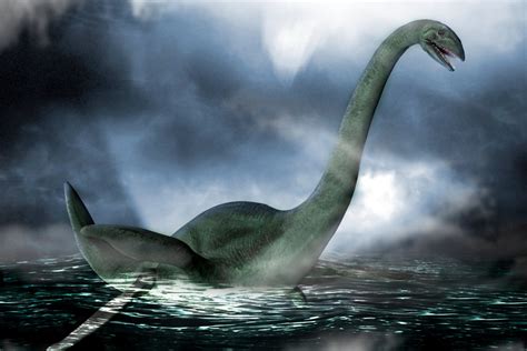loch ness monster spotted  thirteenth time  bumper year  nessie