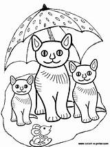 Gatos Chuva Colorir Guarda Desenhos sketch template