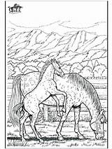 Coloring Horse Pages Racing Race Jockey Printable Print Getcolorings Color Getdrawings Silks sketch template