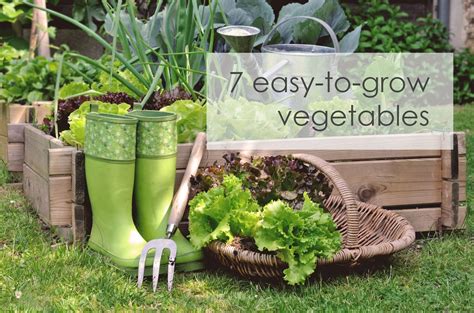 easy  grow vegetables arctic gardens