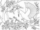 Coloring Pages Bird Mother Baby Birds Color Mothers Adult sketch template