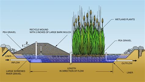 teknik lingkungan constructed wetland