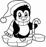 Penguin Coloring Pages Christmas Template sketch template