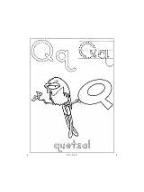 Quetzal Activities Coloring Letter Worksheets Lesson Preschool Crafts Plan Printable sketch template